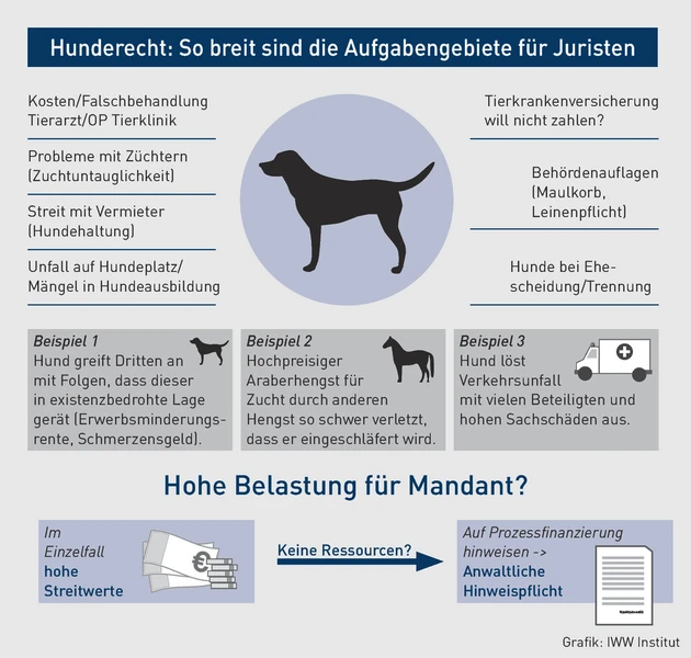 AK-06.2025_Grafik_Hunderecht So breit sind die Aufgabengebiete für Juristen.eps (Bild: iww) AK-06.2025_Grafik_Hunderecht So breit sind die Aufgabengebiete für Juristen.eps (Bild: iww)