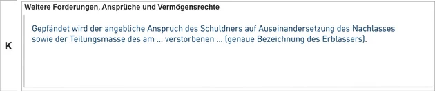 Entwurf_Pfändungsbeschluss_VE-08-25_Seite6-3.eps (Bild: iww)