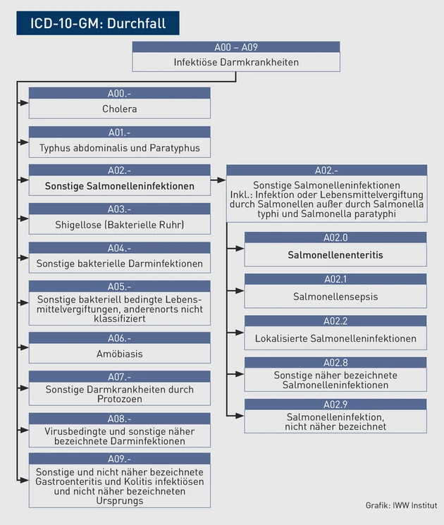 AAA-Grafik_ICD_Durchfall.eps (Bild: IWW Institut)