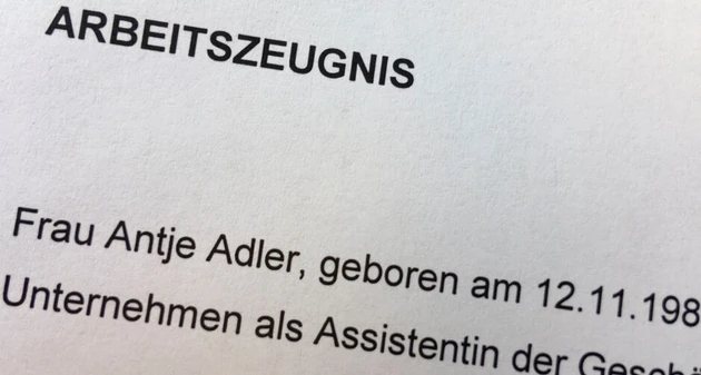 D Zeugnis.png (Bild: IWW) D Zeugnis.png (Bild: IWW)