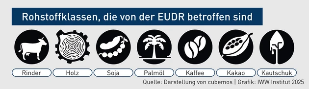 BBP-Grafik_EUDR_1.eps (Bild: IWW; teilweise KI-generiert mit Adobe Firefly) BBP-Grafik_EUDR_1.eps (Bild: IWW; teilweise KI-generiert mit Adobe Firefly)
