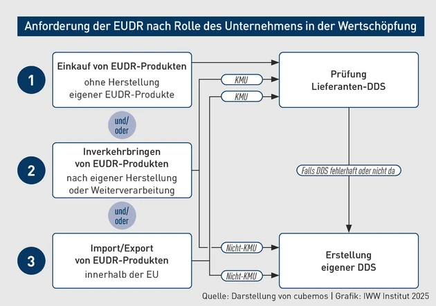 BBP-Grafik_EUDR_2.eps (Bild: IWW) BBP-Grafik_EUDR_2.eps (Bild: IWW)