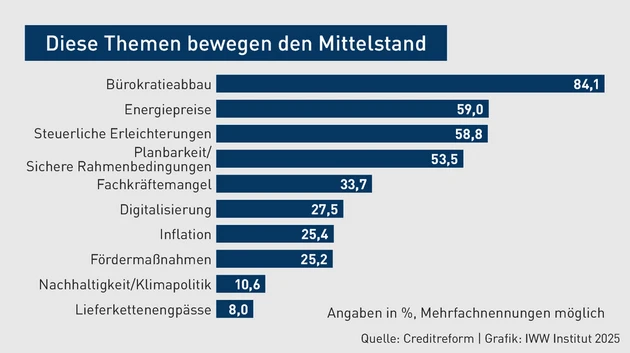 BBP-Grafik_2_Diese Themen bewegen den Mittelstand_Hantzsch.eps (Bild: IWW)