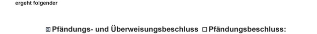 Entwurf_Pfändungsbeschluss_VE10-25_Seite3-1.eps (Bild: iww)