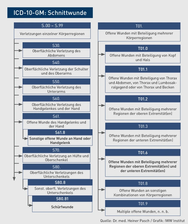 AAA-08.2022_Grafik_ICD_Baum_Schnittwunde_MR-19.07.2022.eps (© IWW Institut)