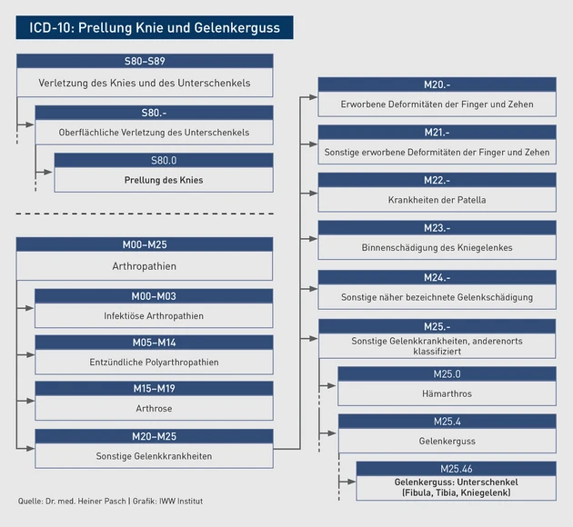 AAA-Grafik_ICD_Prellung Knie und Gelenkerguss.eps (Bild: IWW)