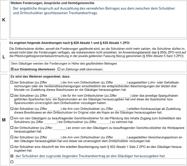 Entwurf_Pfändungsbeschluss_VE-04-25_Seite6-1.eps (© IWW Institut)