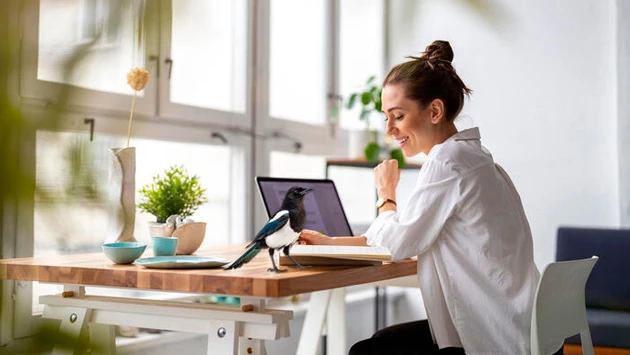 AdobeStock_410115591_Topnews_tw KI-generiert.jpg (Bild: © DD, pikselstock – stock.adobe.com; teilweise KI-generiert) AdobeStock_410115591_Topnews_tw KI-generiert.jpg (Bild: © DD, pikselstock – stock.adobe.com; teilweise KI-generiert)