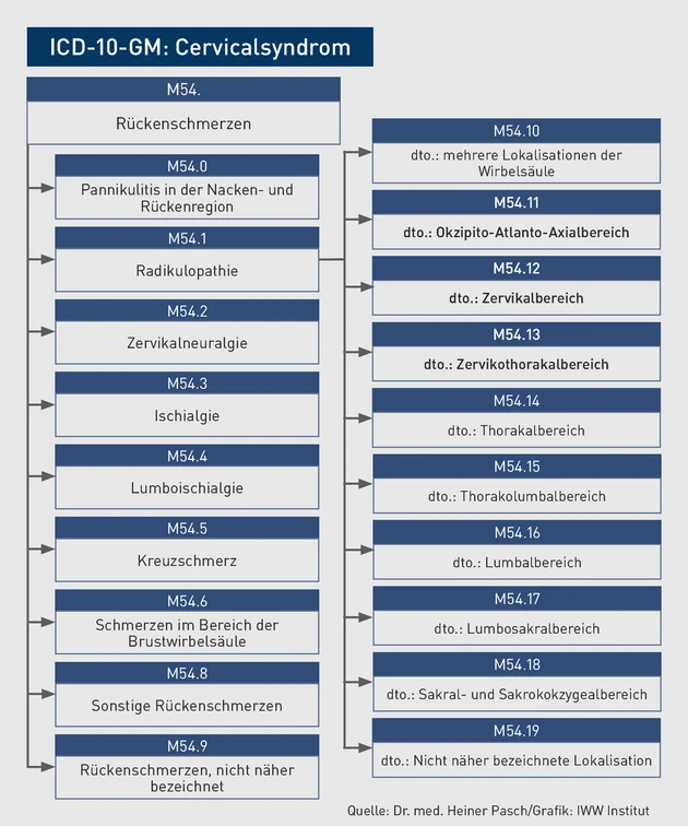 AAA_Grafik_ICD-Baum_Cervicalsyndrom.eps (© IWW Institut)