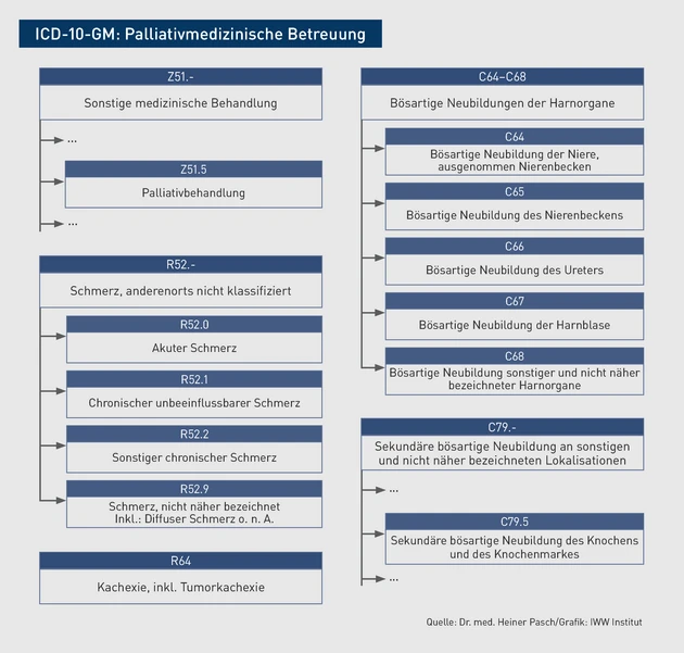 AAA_Grafik_ICD_P_Palliativmedizinische Betreuung.eps (© IWW Institut) AAA_Grafik_ICD_P_Palliativmedizinische Betreuung.eps (© IWW Institut)