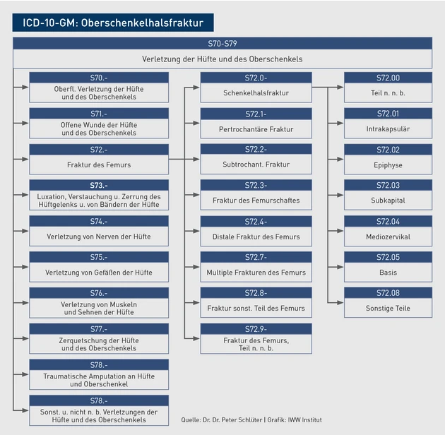 AAA_Grafik_ICD-10-Baum_Oberschenkelfraktur.eps (© IWW Institut) AAA_Grafik_ICD-10-Baum_Oberschenkelfraktur.eps (© IWW Institut)